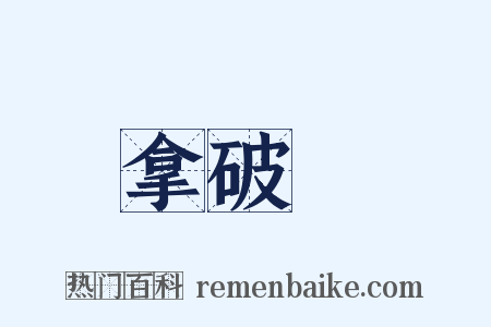 拿破崙是什么意思的图片